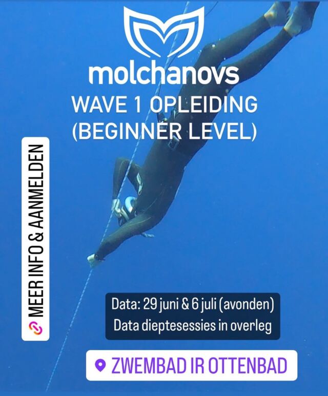 Wave 3 / Lap 3 Requirements – Molchanovs